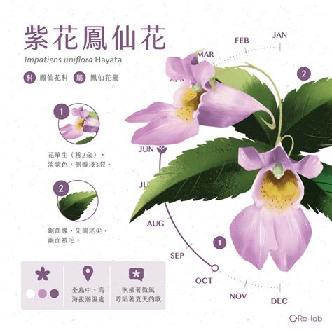 最能代表自己的花|116種花語介紹，最完整花語大全